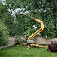 Best Tree Health Inspection  in Yates Center, KS