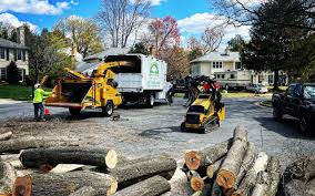 Reliable Yates Center, KS Tree Care Services Solutions