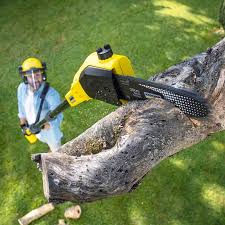 Best Pest Control for Lawns  in Yates Center, KS